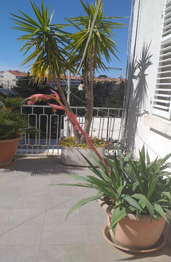 Plavi Zal Apartment Dubrovnik Exteriör bild