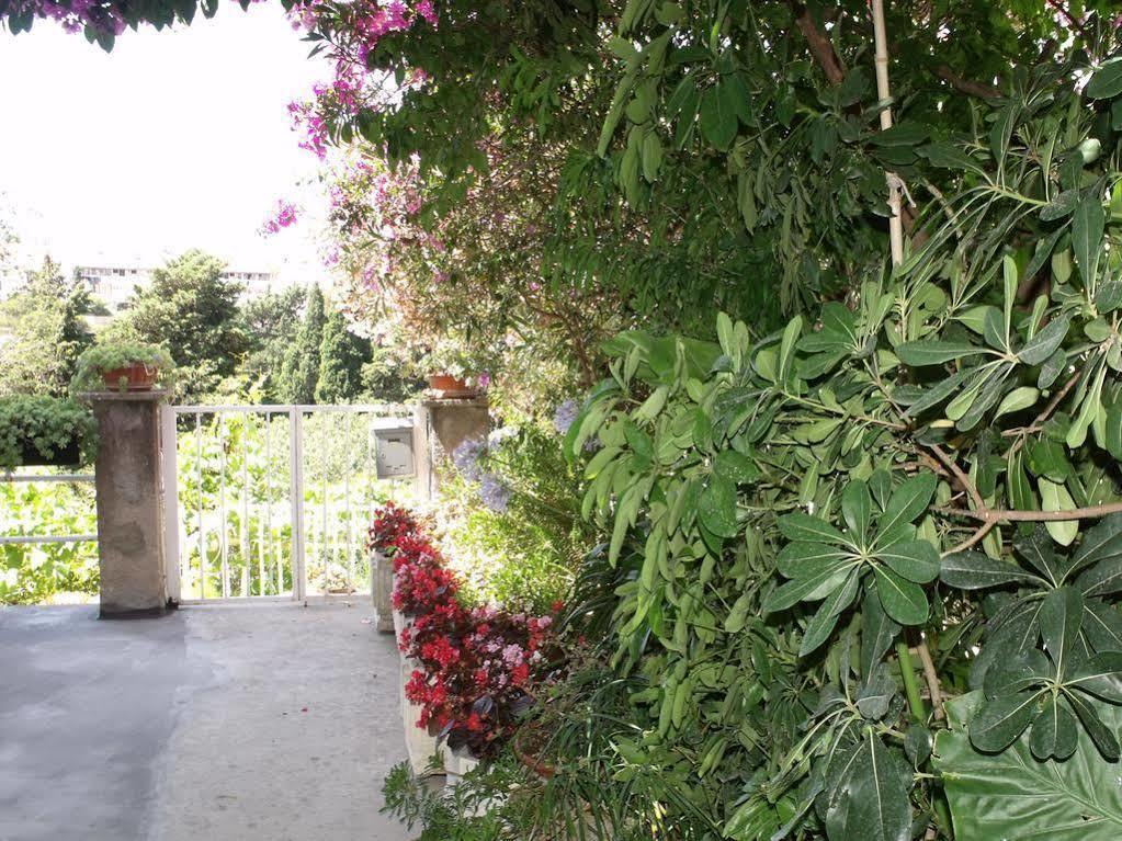 Plavi Zal Apartment Dubrovnik Exteriör bild