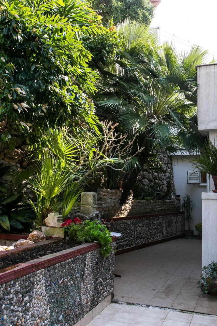 Plavi Zal Apartment Dubrovnik Exteriör bild